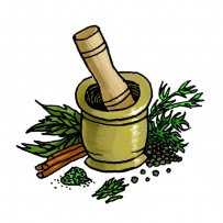 herb, medicine, aromatic plant, cooking