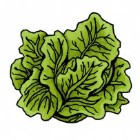 vegetables, greens, salads, stew