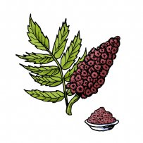 spice, seasoning, 