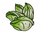 salad, green leaves