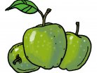 ξινόμηλο, φρούτο, πράσινο μήλο, μηλόπιτα