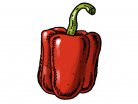 red pepper, spice, chilli