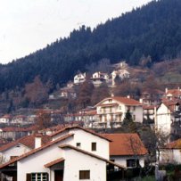 320 x 320: GREECE - PELOPONNESE - ELATI - VILLAGE