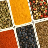 320 x 320: FOOD - SPICES