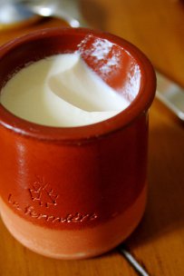  The Legendary Birth of Yoghurt