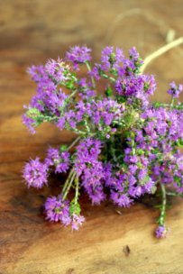 How to Harvest or Purchase, Store, and Preserve Herbs and Wild Plants