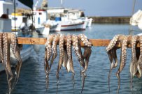 Ένας μοντέρνος τρόπος να χτυπήσει κανείς ένα χταπόδι