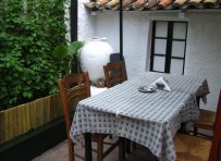 Taverna Lefka (The Elm), under the symbolic tree always in warm company