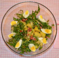 Dandelion Salad