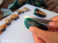 Mussels and Oysters served with caramel and Beer