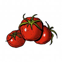 tomatoes