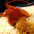 210 x 210: FOOD - PASTA WITH LOBSTER
