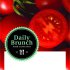  Daily Brunch!  
