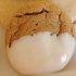 Chocolate Biscuits Dipped in White Chocolate Chocolate Biscuits Dipped in White Chocolate