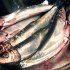 Oven Baked Sardines