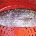Baked Fish 