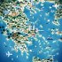 Tasting Greece Through 5 Signature Dishes