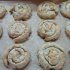 Zeljanica Burek