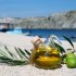  All you need to know about Greek olive oil