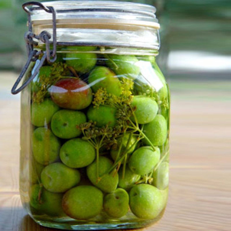 GREEN OLIVES IN A JAR