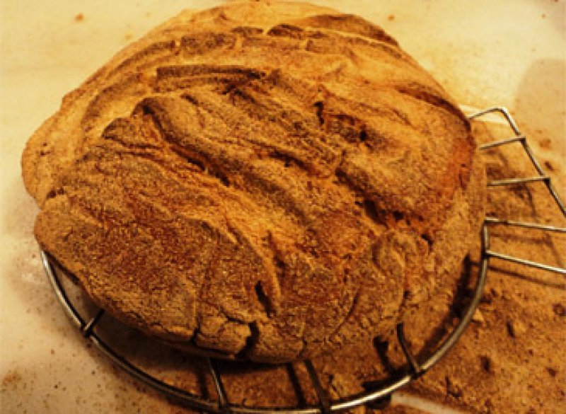 bread,bread by Jim Haley,recipes by Jim Haley,no-knead bread