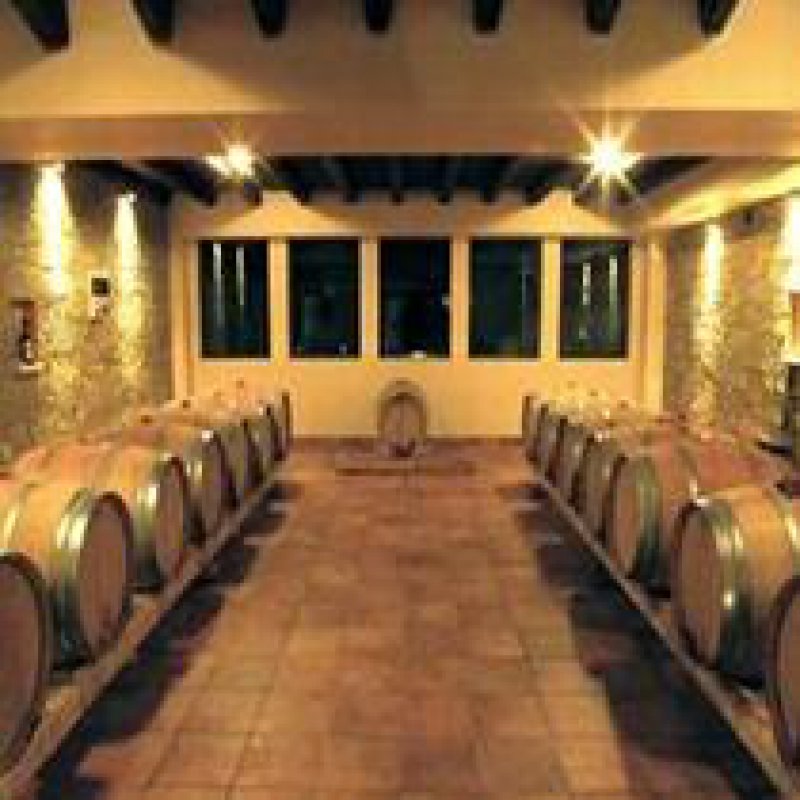 210 x 210: WINE CELLAR - PELOPONNESE - AEGIALIA PLAGIES