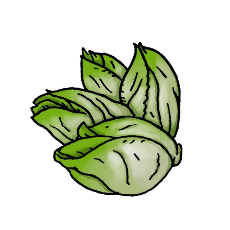 salad, green leaves