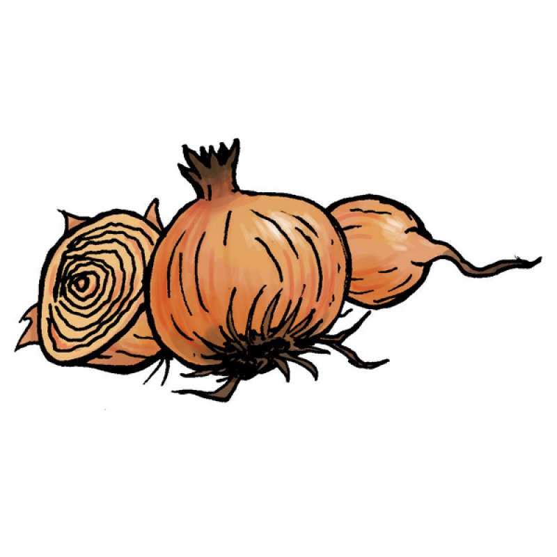 onions, vegetables, salads