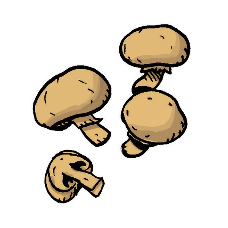 fungus, canned, salad, pie, fresh
