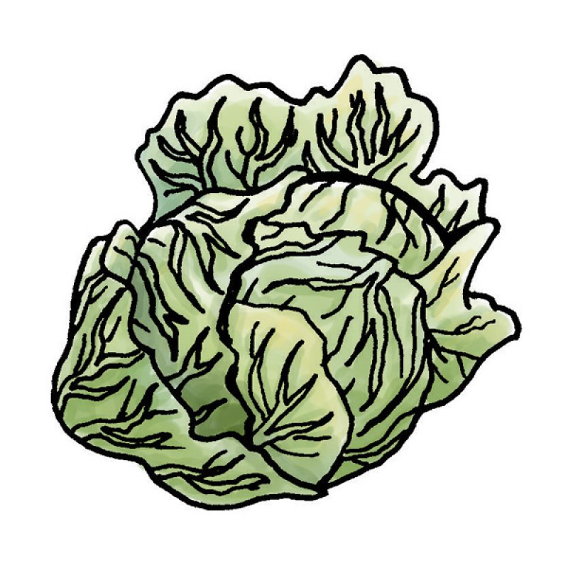 greens, vegetables, salads
