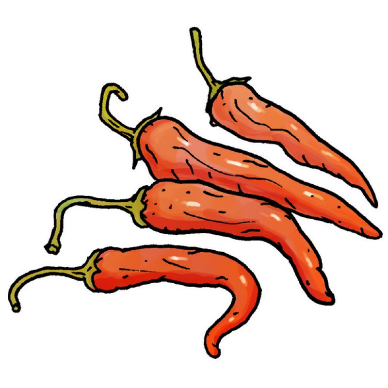 chilli, spices, pepper