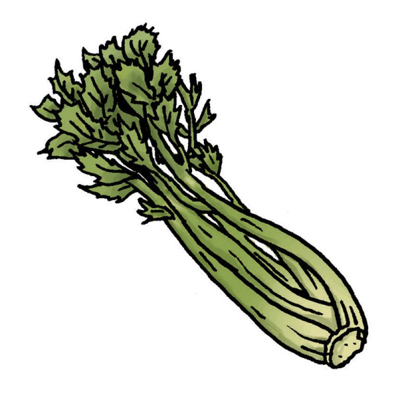 vegetables, greens, stew, soup, herb, aroma