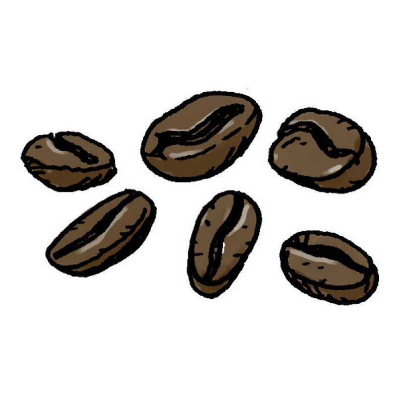 coffee, Arabica, South America, earthy flavour