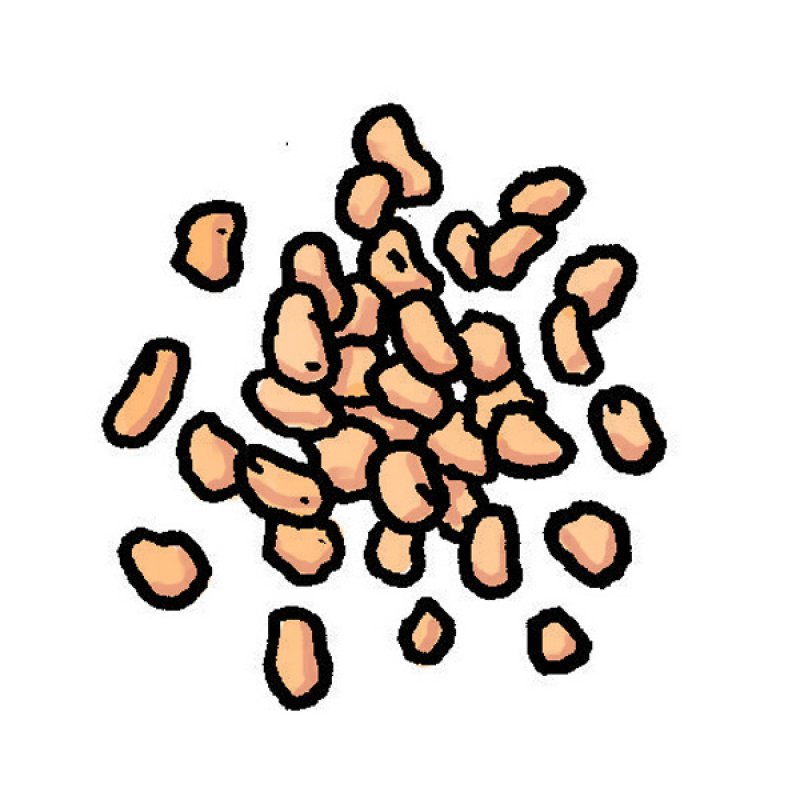 semolina, grain, wheat flour, side dish