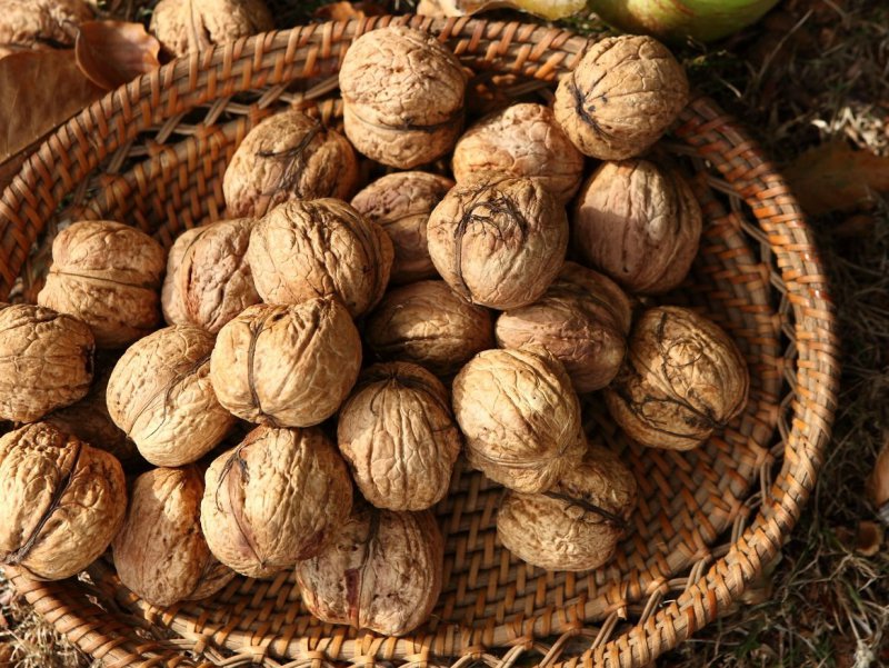 The Omnipotence of Nuts
