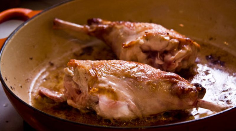 The Mediterranean's Rabbit Repertoire The Mediterranean's Rabbit Repertoire