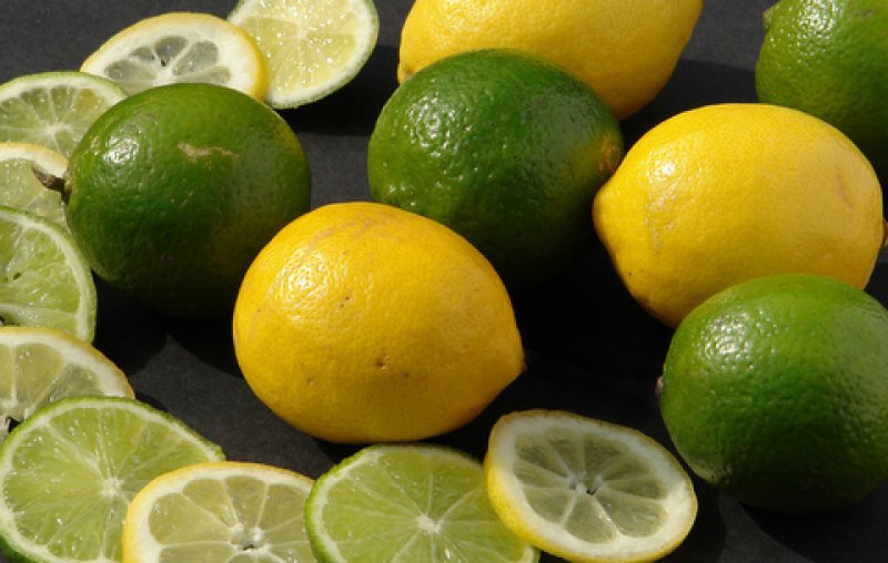  Ideas for Lemons and Limes