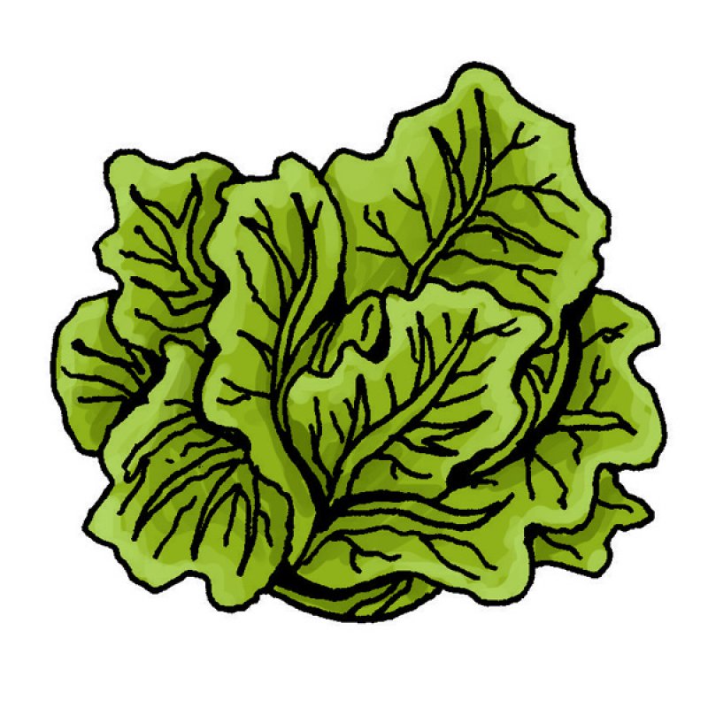 vegetables, greens, salads, stew