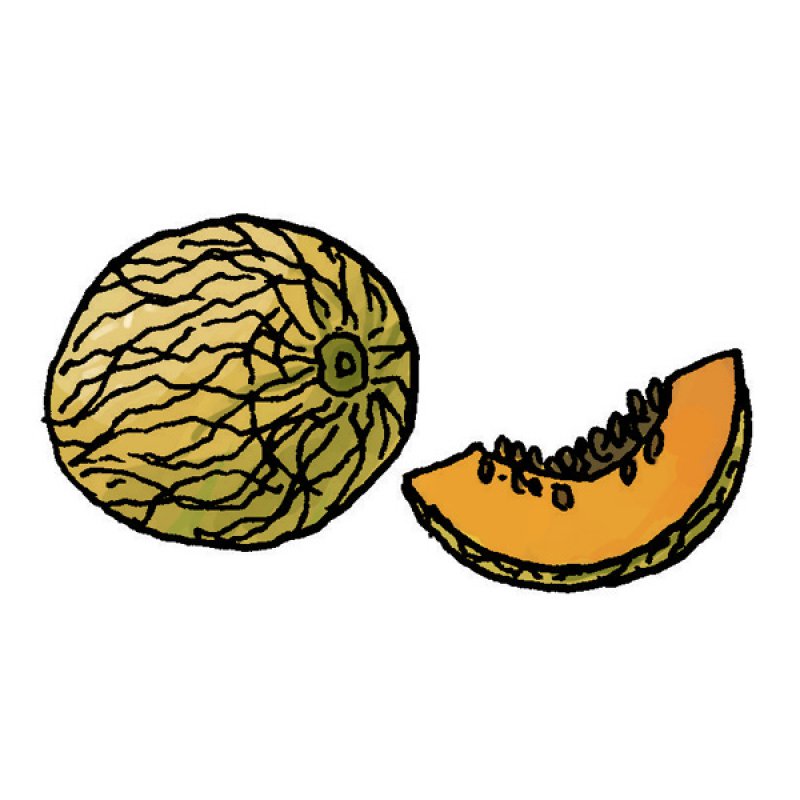 fruit, summer