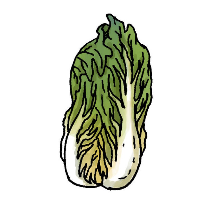 Chinese cabbage, greens, vegetables