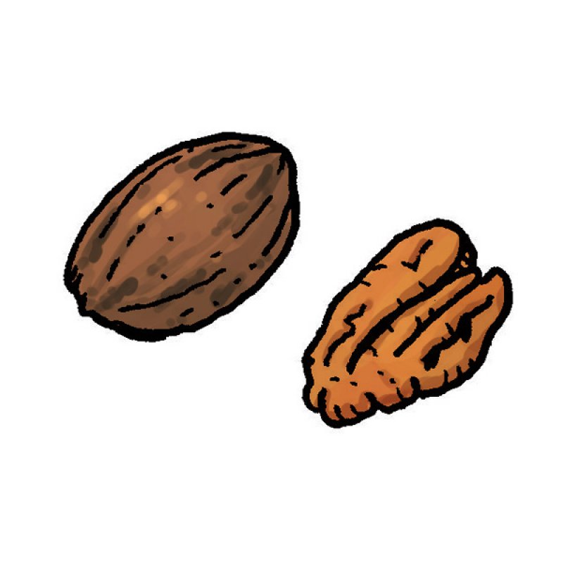 pecan pie, nuts