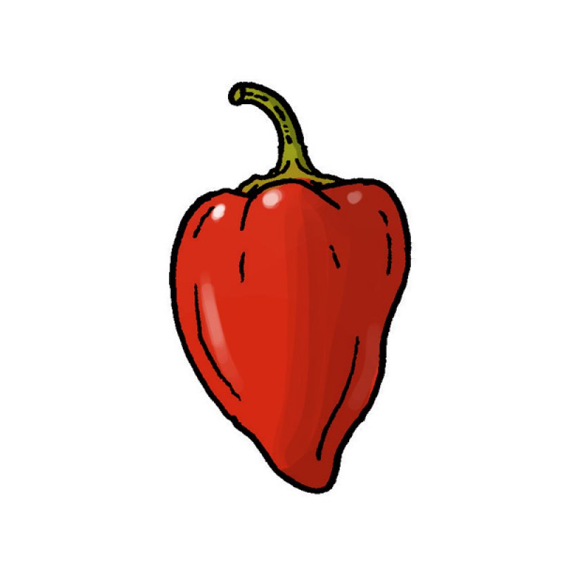 red chilli pepper