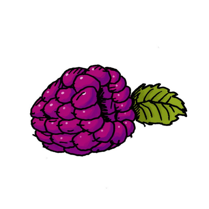 blackberry, berry, fruit, jam, puree, pie, ice cream, pudding