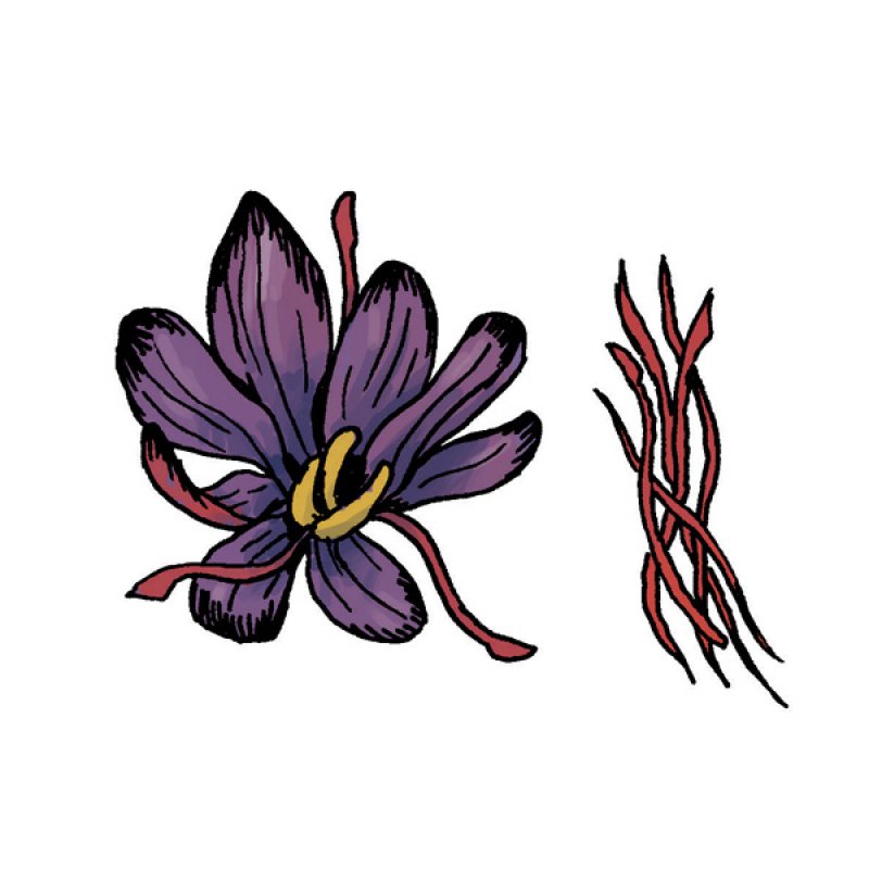 crocus Kozanis, spice, stigma, seasoning, medicinal properties