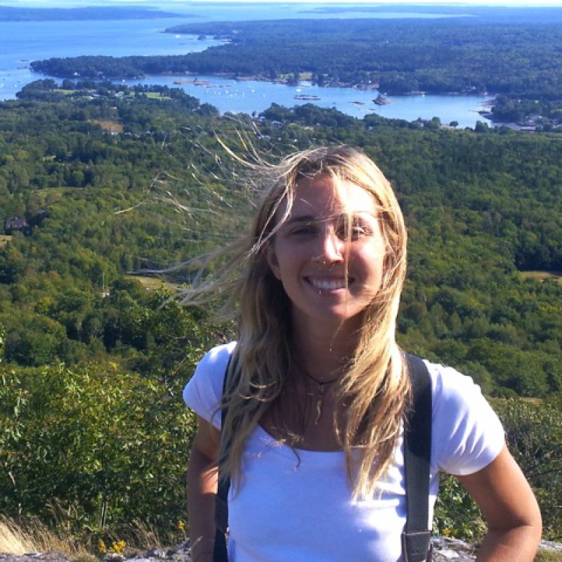 Sarah A. Lewis