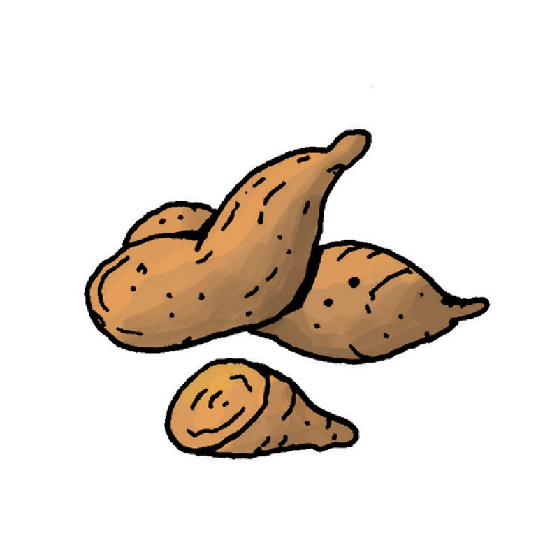 potato, purree, aroma, boiled