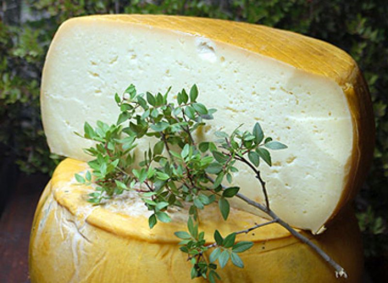 Traditional cheese products from Naxos island  (Naxos Creamery)