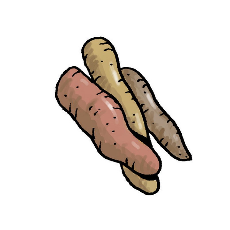potato, root, roasted, fried, barbecued