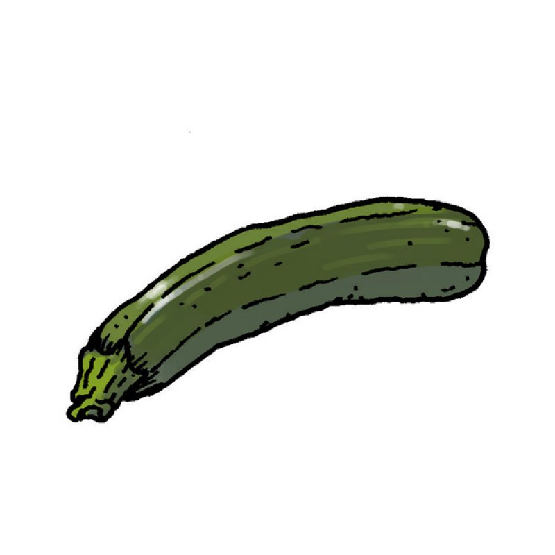 vegetables, greens, summer squash, boiled, salad, baked, stew