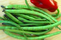 320 x 320: FOOD - GREEN BEANS AND A RED PEPPER